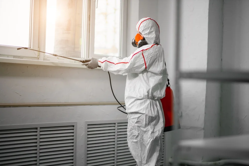 Professional mold remediation services in Wellsburg, WV